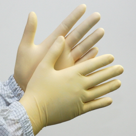 Latex Glove (라텍스 글러브)